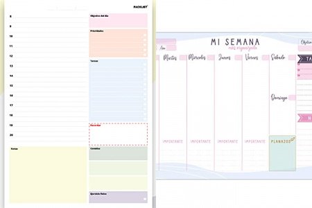 Organizador y planificador diario
